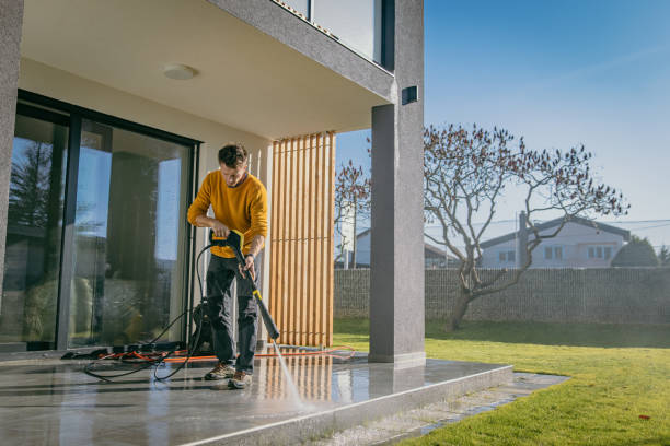 Best Roof Cleaning and Mildew Removal in Sunray, TX